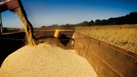 Бразилия увеличит сбор сои за сельхозгод более чем на 1,5 млн тонн